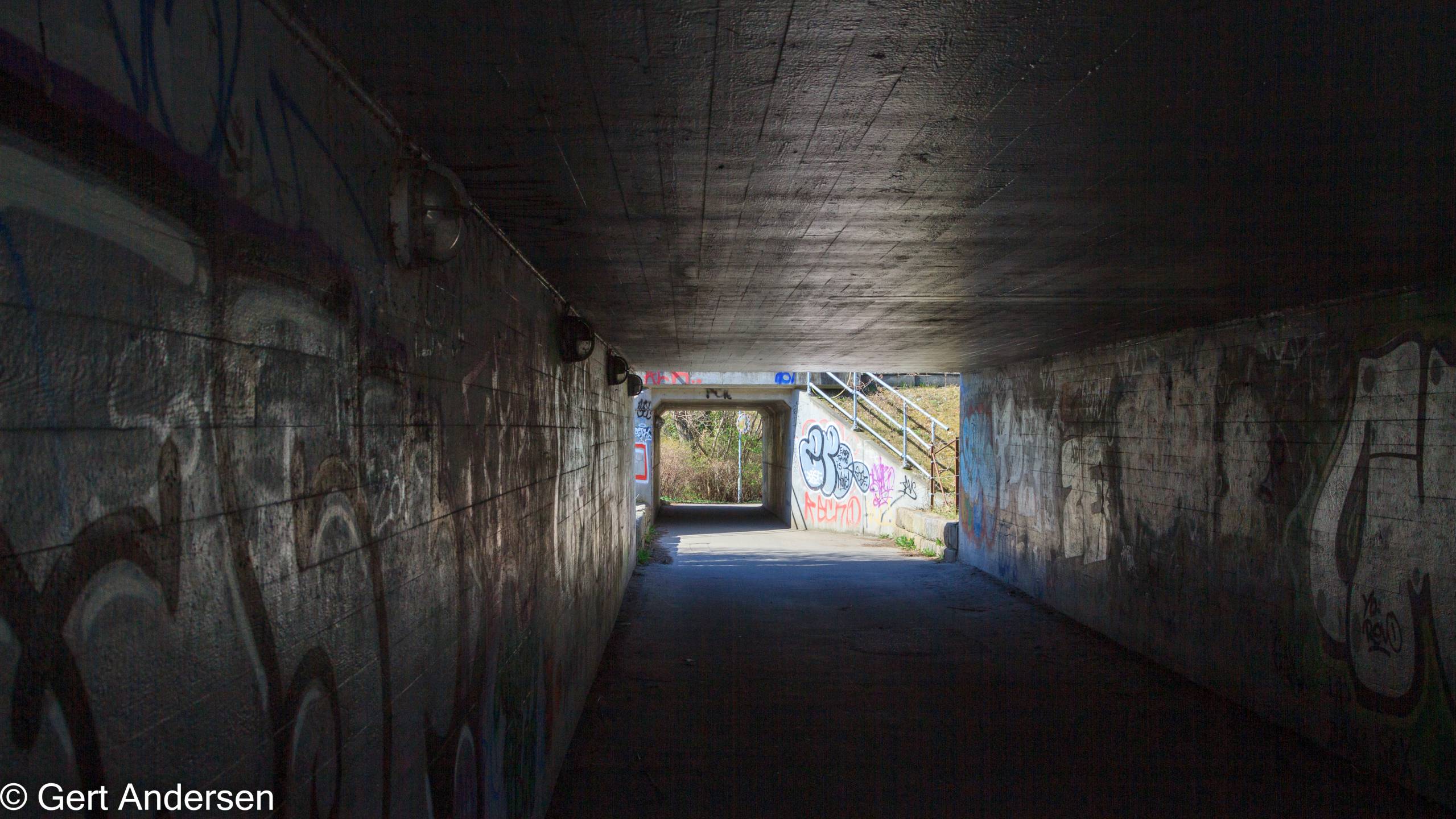 Forår ved Lyngby Sø